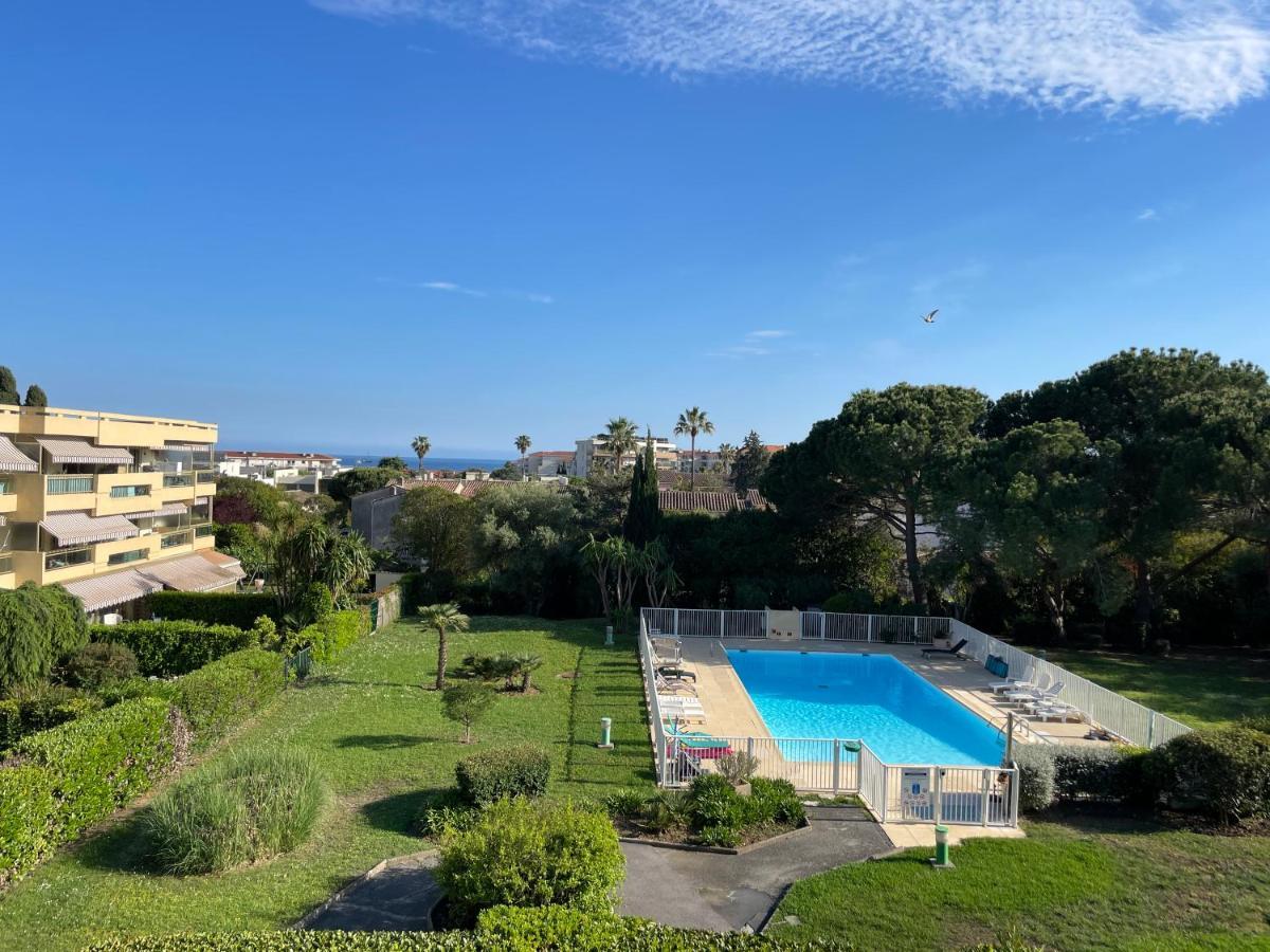 Appartamento Grand Proche Avec Piscine. Antibes